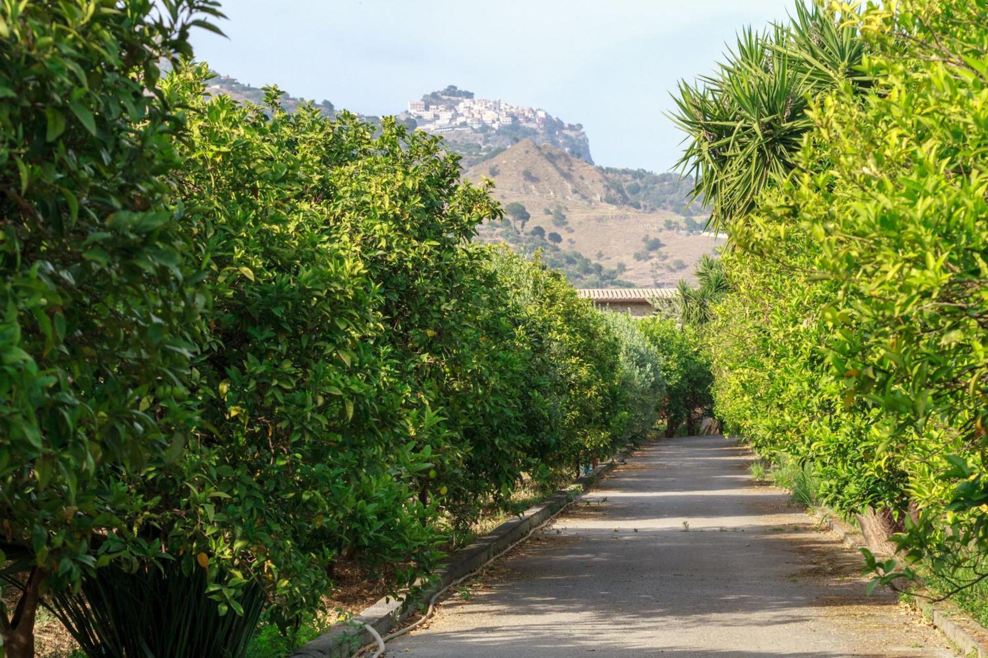 Willa Lumia e Zagara Taormina Zewnętrze zdjęcie
